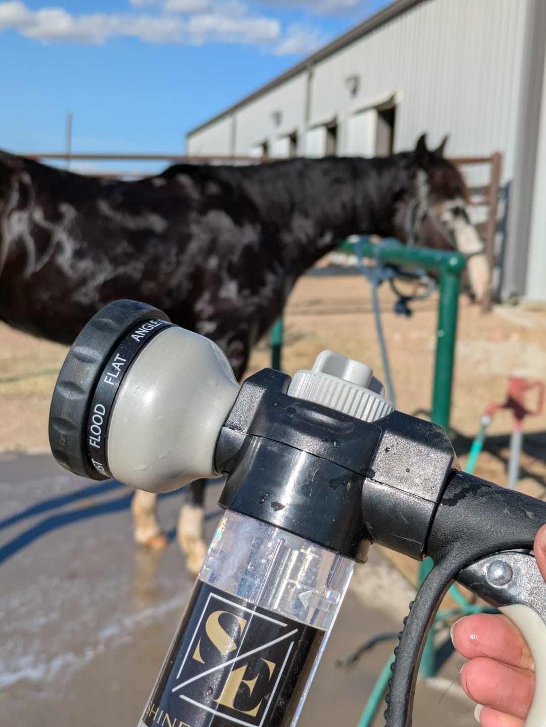 Customer photo review of Shine Equine Foaming Spray Applicator