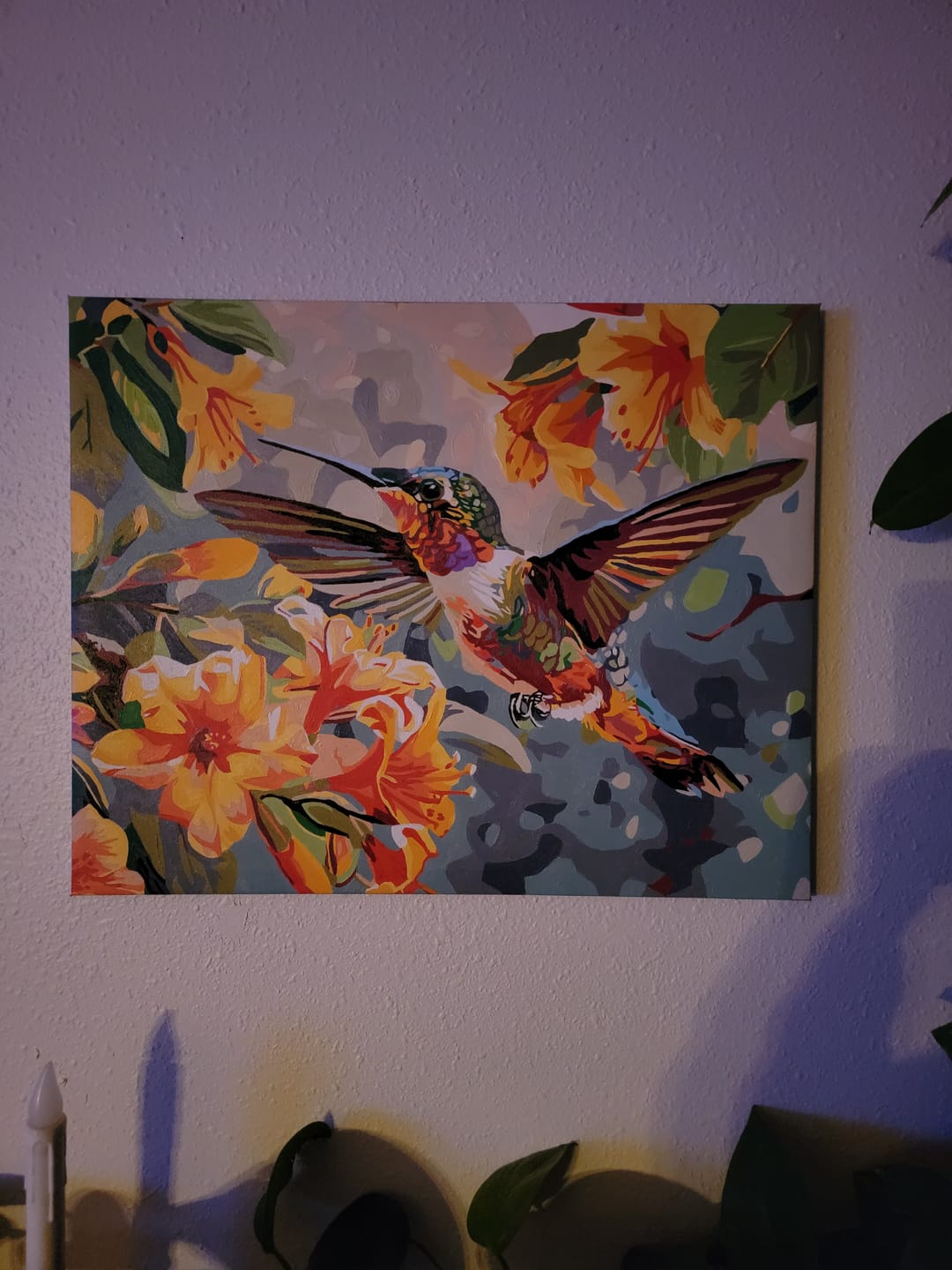 Customer photo review of Hummingbirds Dance