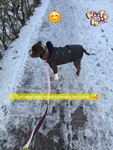 Customer photo review of Guard Leash Rose Edition Plum - Väktarkoppel med extra handtag
