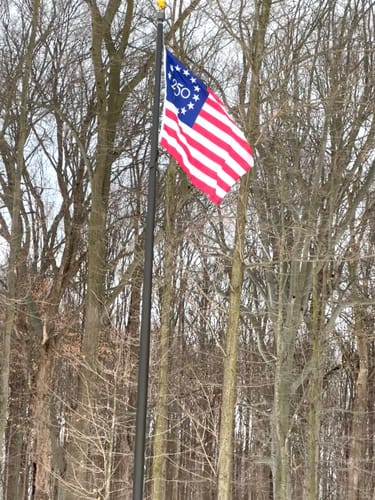 Customer's America 250 Betsy Ross Flag waving from a tall flagpole in front of bare trees.