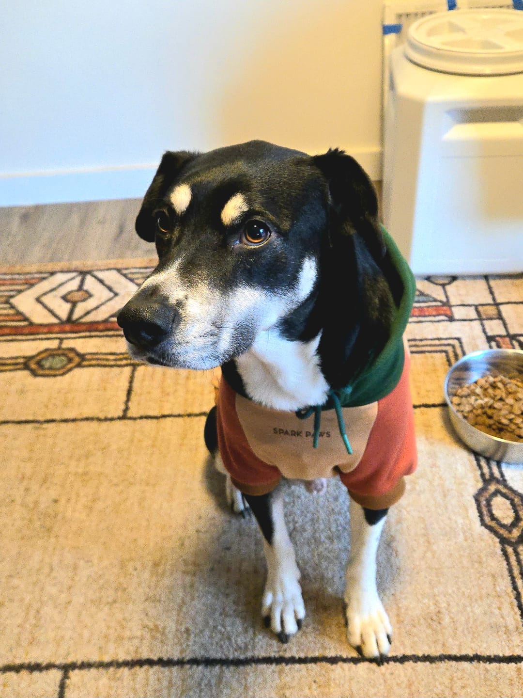Customer photo review of Ranger Dog Hoodie