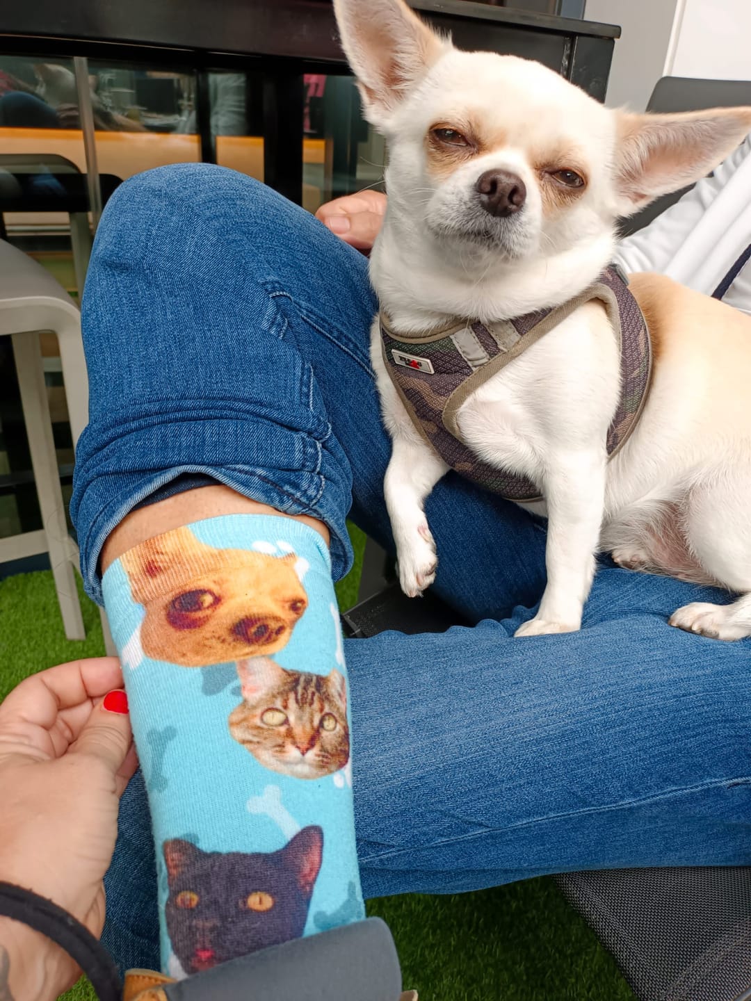 Customer photo review of Foto - Calcetines personalizados
