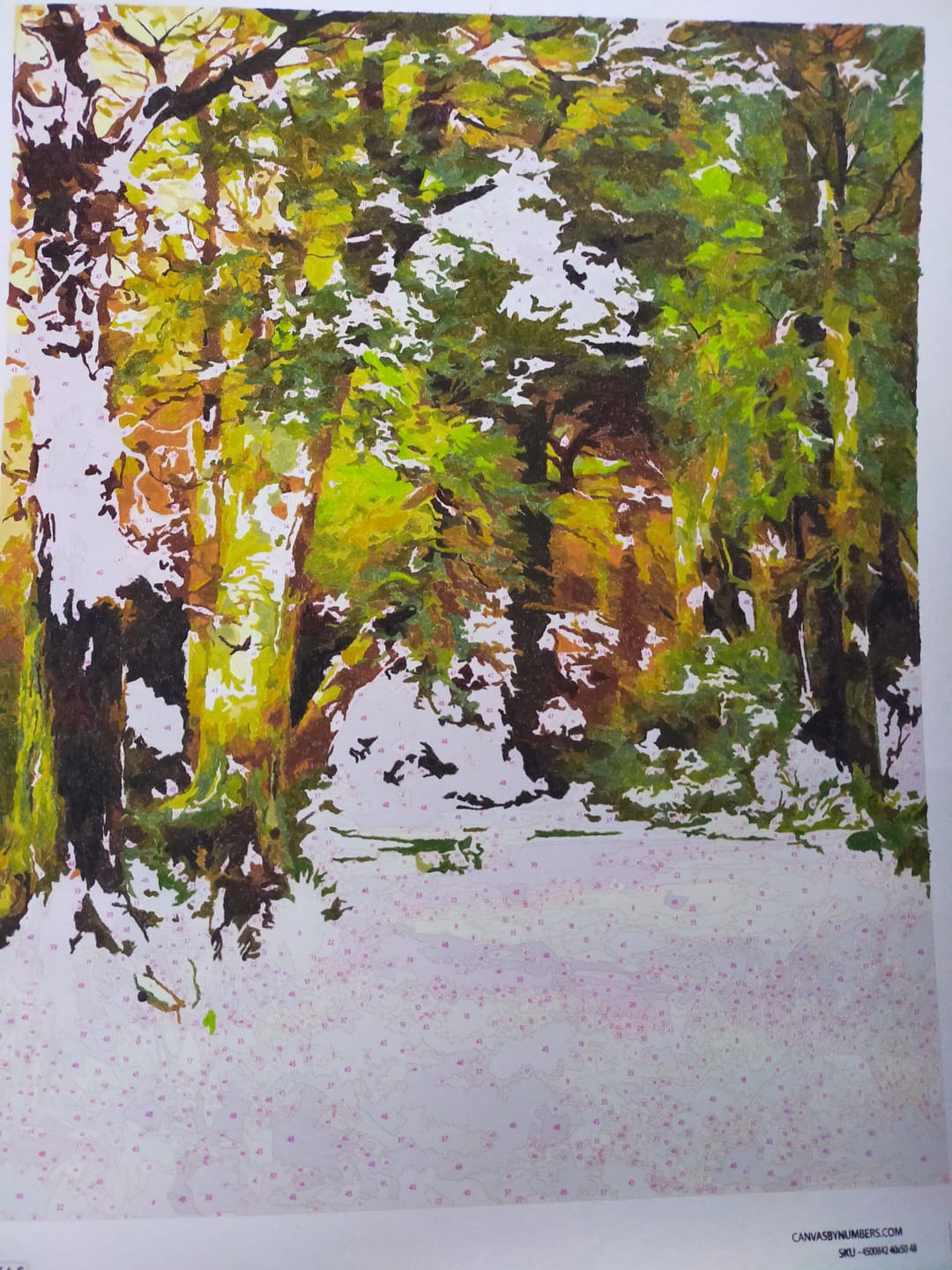 Customer photo review of Forest Scene