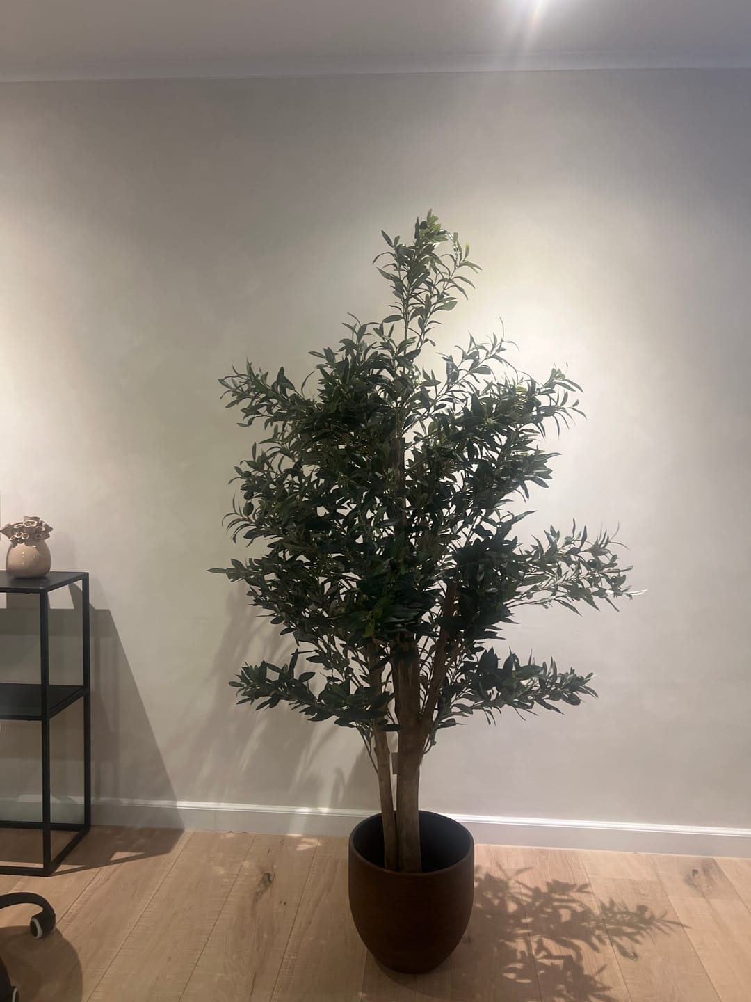 Customer photo review of Pre-order Kunst Olijfboom 165cm Deluxe (eind jan '26)