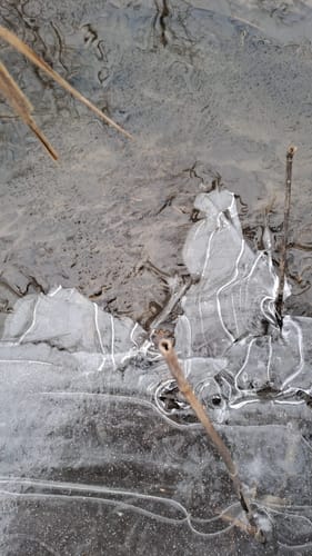 Customer photo review of NoctiOptic™ - Les lunettes qui éclairent votre nuit