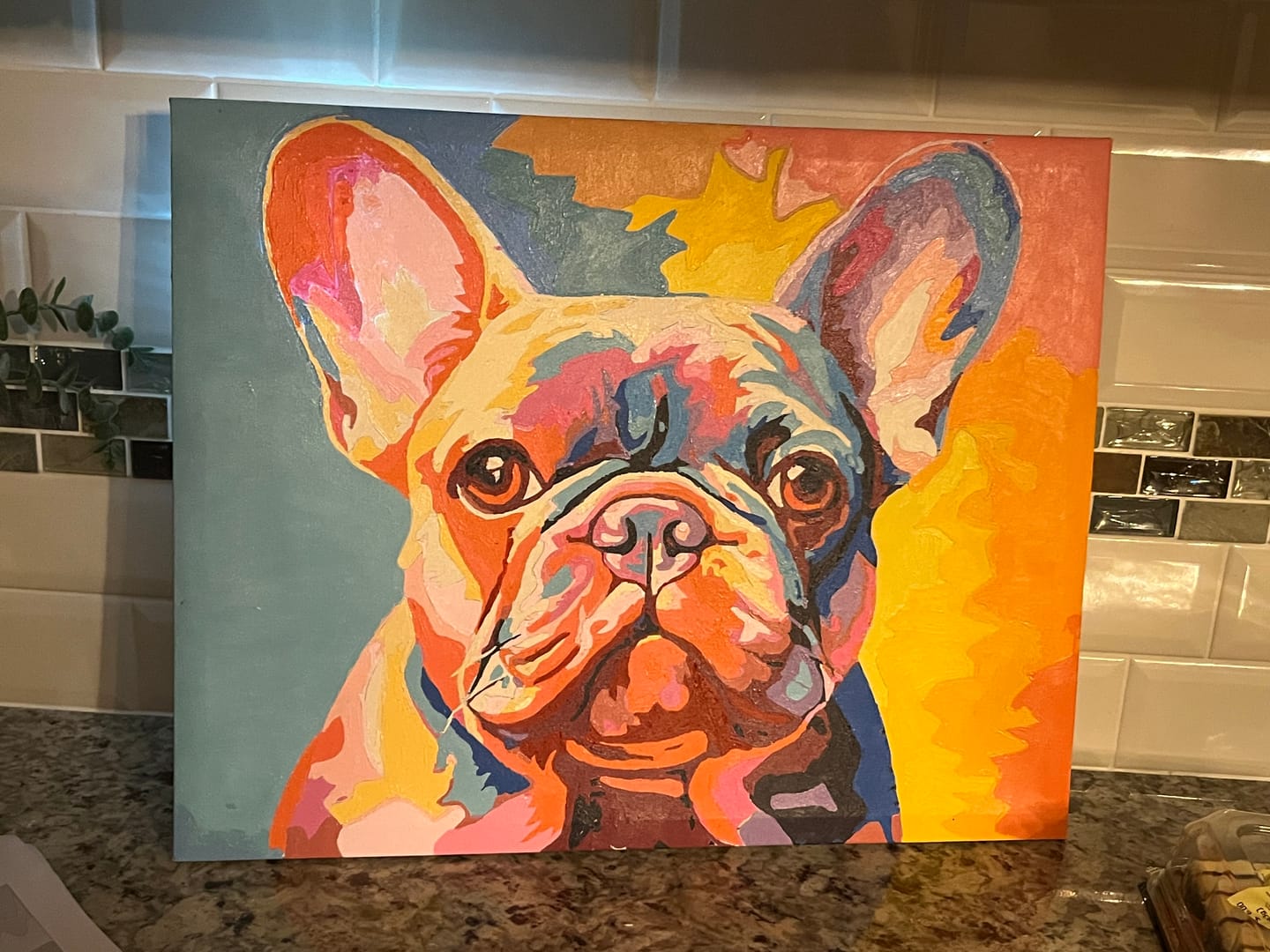 Customer photo review of Frenchie's Soul