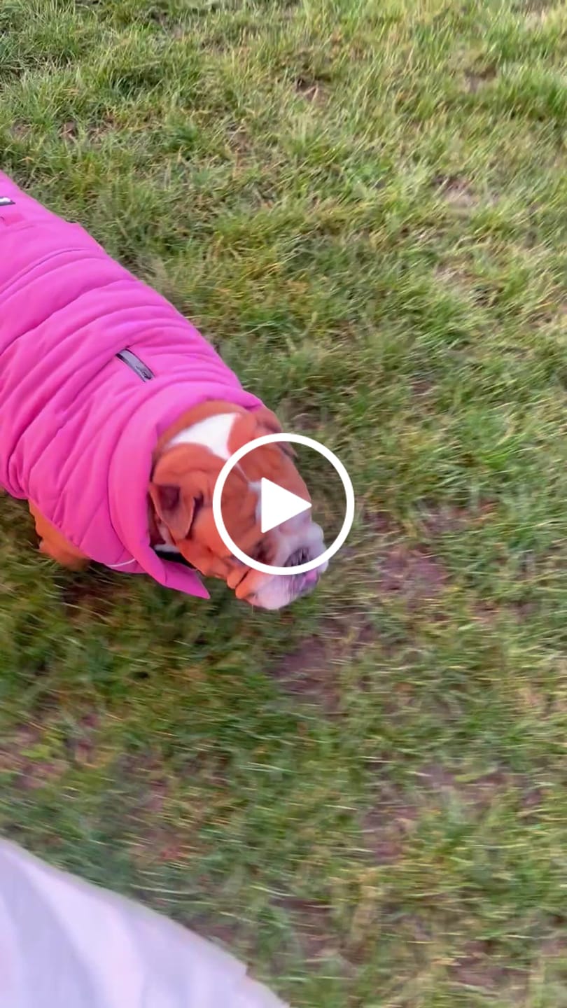Customer video review of WarmShield Water-Resistant Jackets