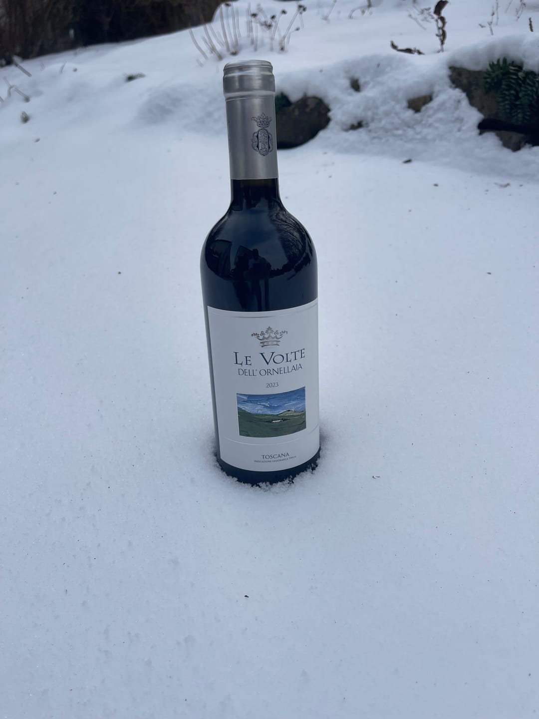 Customer photo review of Le Volte Dell'Ornellaia Toscana IGT, 6 Fl. | alc. 13,5%