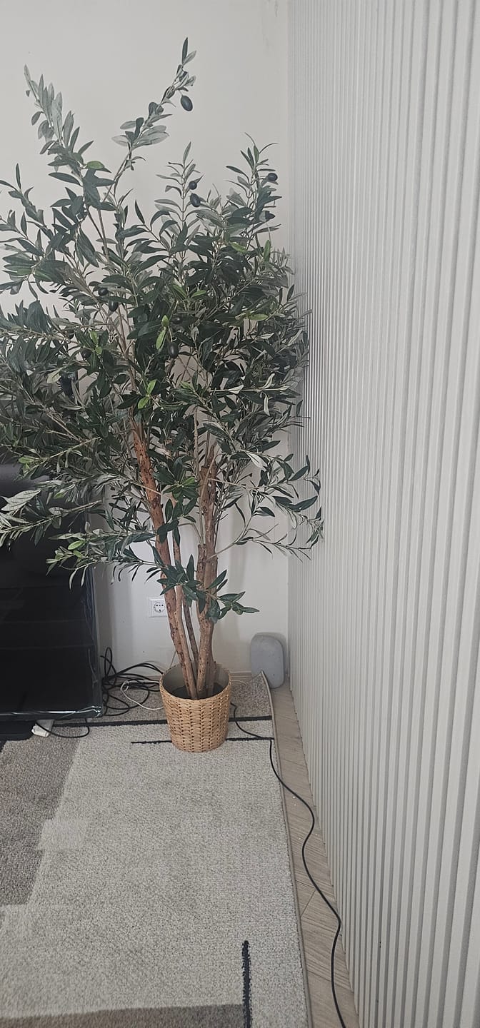Customer photo review of Pre-Order Kunst Olijfboom 180cm (begin feb '26)