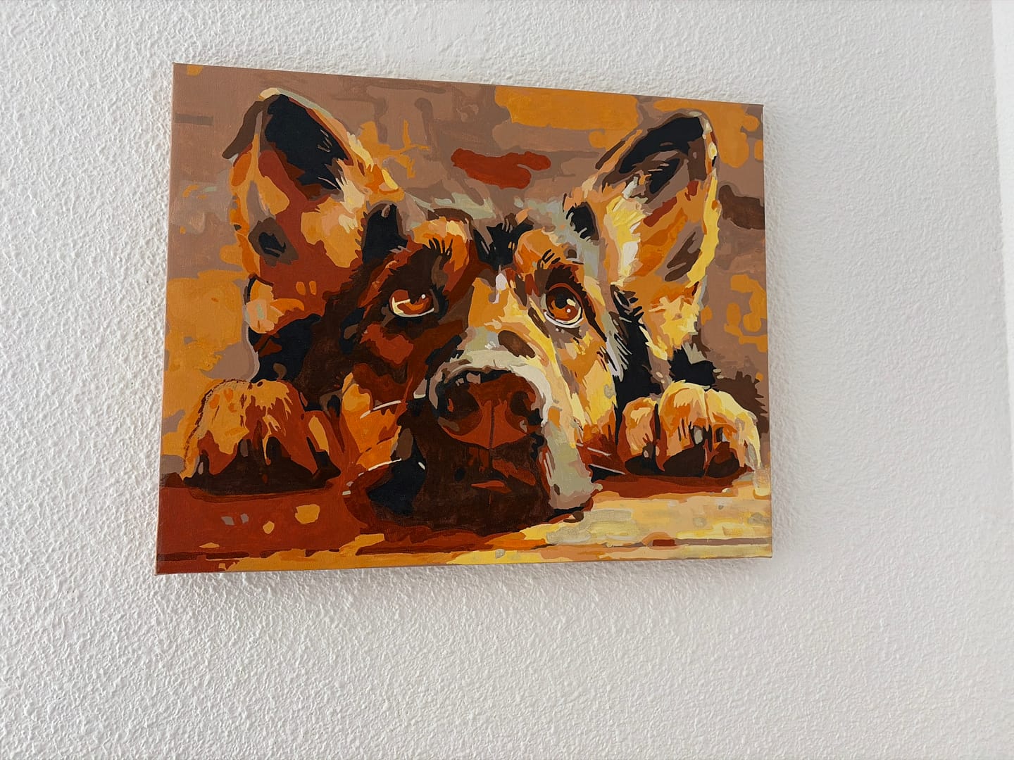 Customer photo review of Bored Shepherd