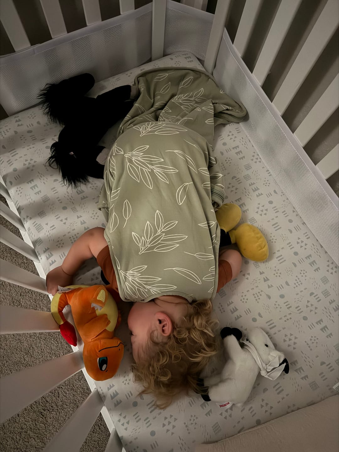 Customer photo review of 4 Season® Ultimate Baby Sleep Bag, Merino Wool & Organic Cotton, Sage