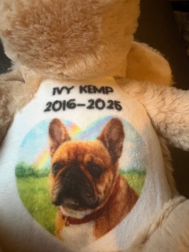 Customer photo review of Design a Personalised Dog Teddy – Add Your Photo, Name or Message