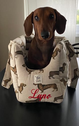 Customer photo review of Borsa Cotone Panama Bassotto