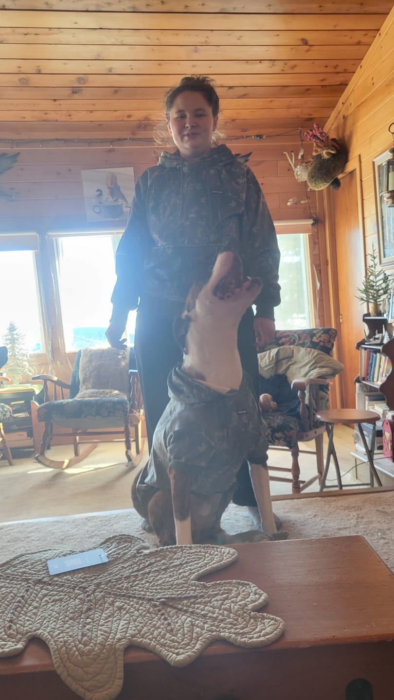 Customer photo review of Concrete Wood Dog Hoodie - Timber
