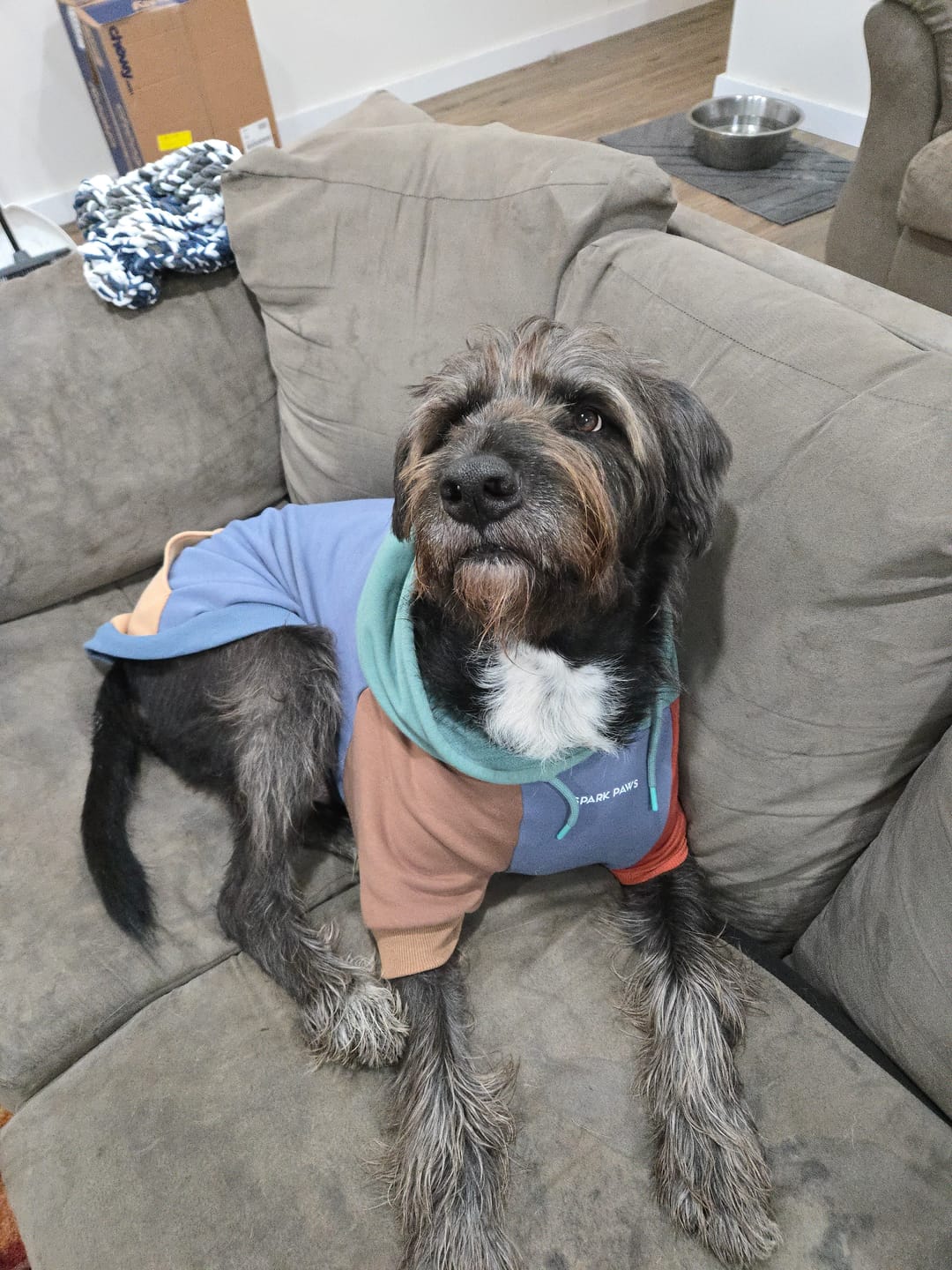 Customer photo review of Alpine Dog Hoodie