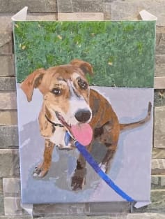 Customer photo review of Custom Pet Paint By Numbers