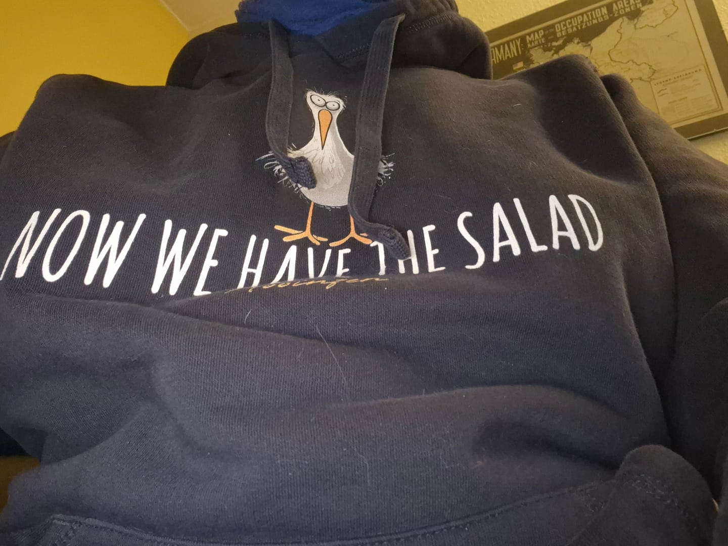 Customer photo review of Now We Have The Salad · Unisex Signature Bio Hoodie
