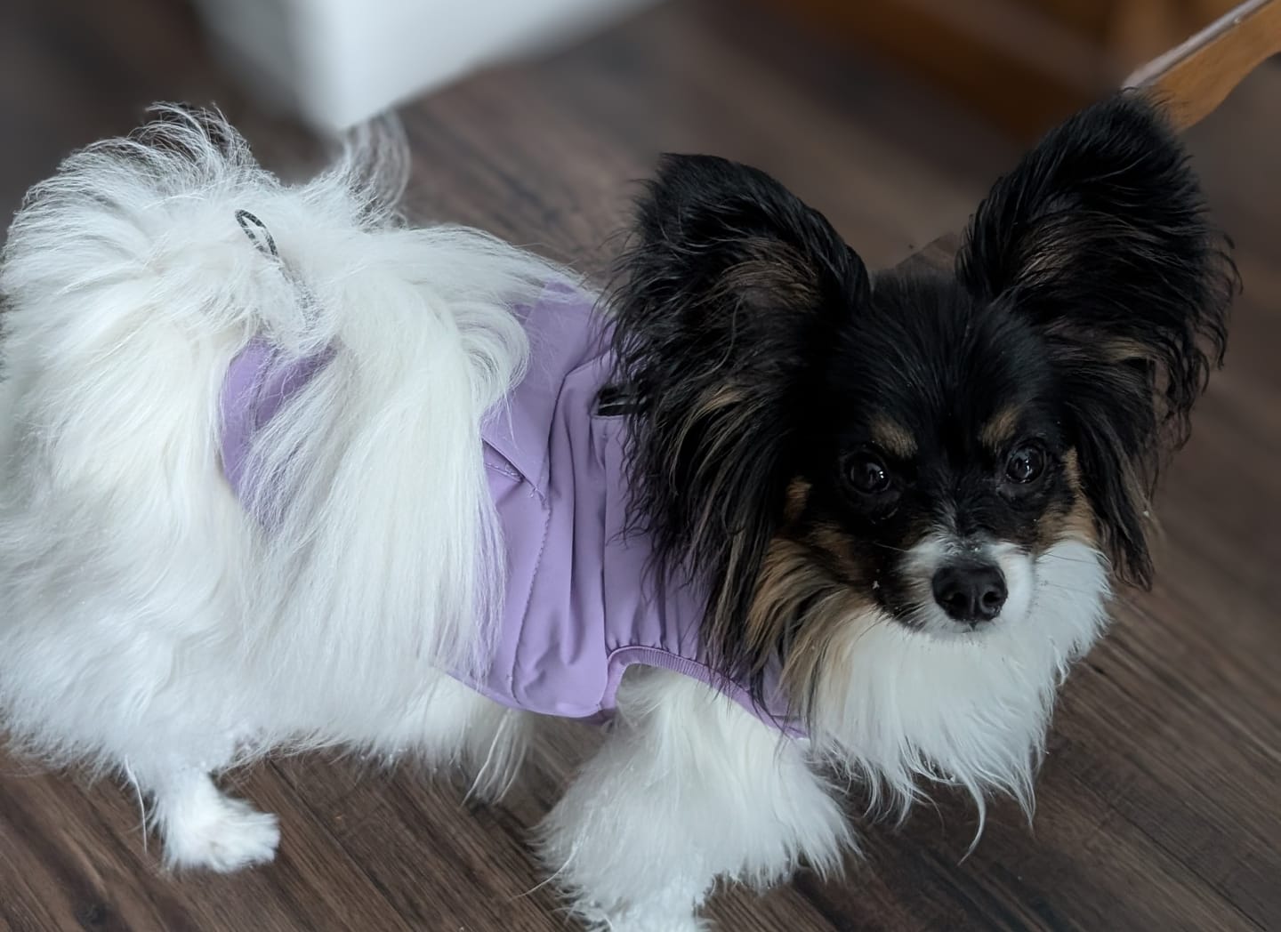 Customer photo review of WarmShield Water-Resistant Jackets