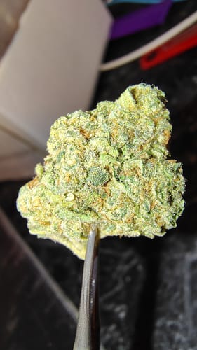 Customer photo review of Nimbus Snacks - THCA Flower