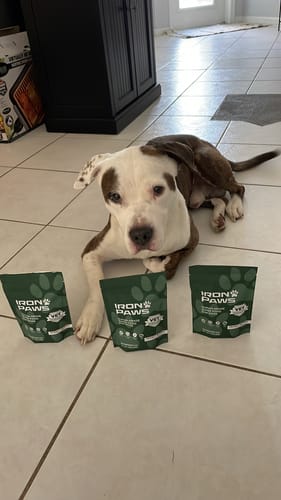 Customer photo review of Iron Paws Premium Dog Supplement