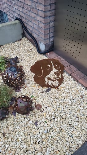 Customer photo review of Gartenstecker Berner Sennenhund Portrait