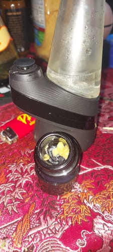 Customer photo review of Berry Fizz (Craft Wash)