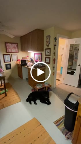 Customer video review of Chestnut the Squirrel Pendulum Clock