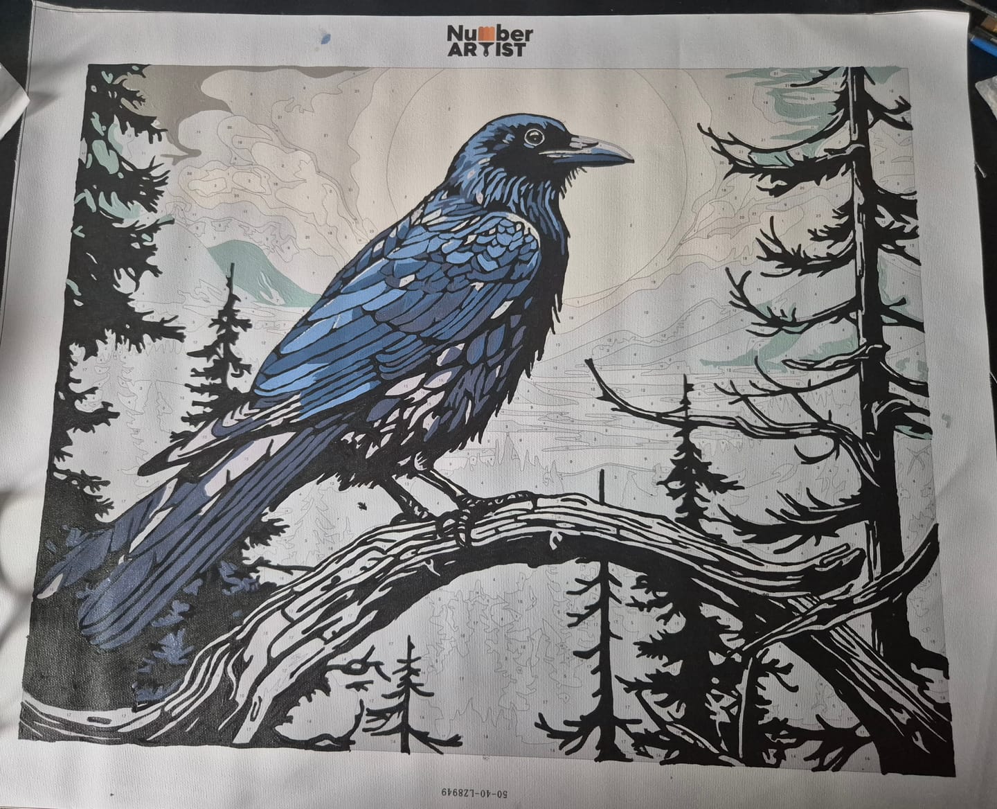 Customer photo review of Raven's Lookout