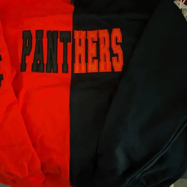 Customer photo review of Custom Glitter Embroidered Two Tone Sweatshirt