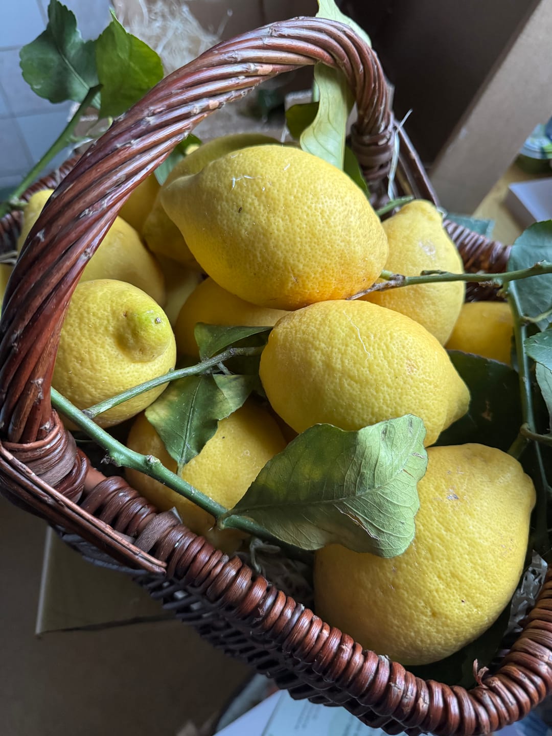 Customer photo review of Zitronen Bio Familie Bilardi Kalabrien 4kg Box Sparpreis %