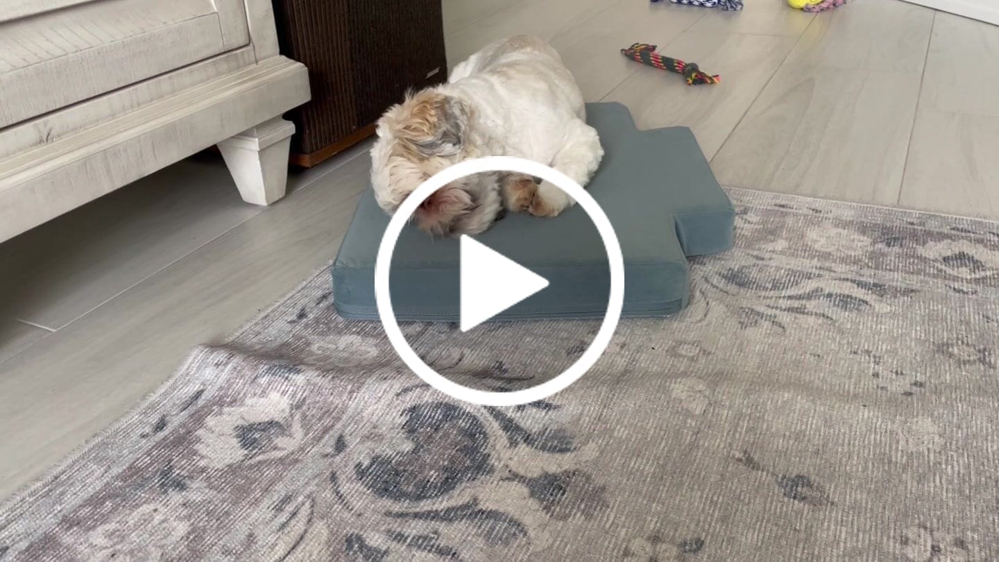 Customer video review of Blueberry Yak Chews
