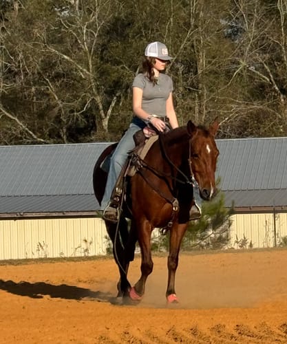 Customer photo review of Hay Chix® Half Bale Net