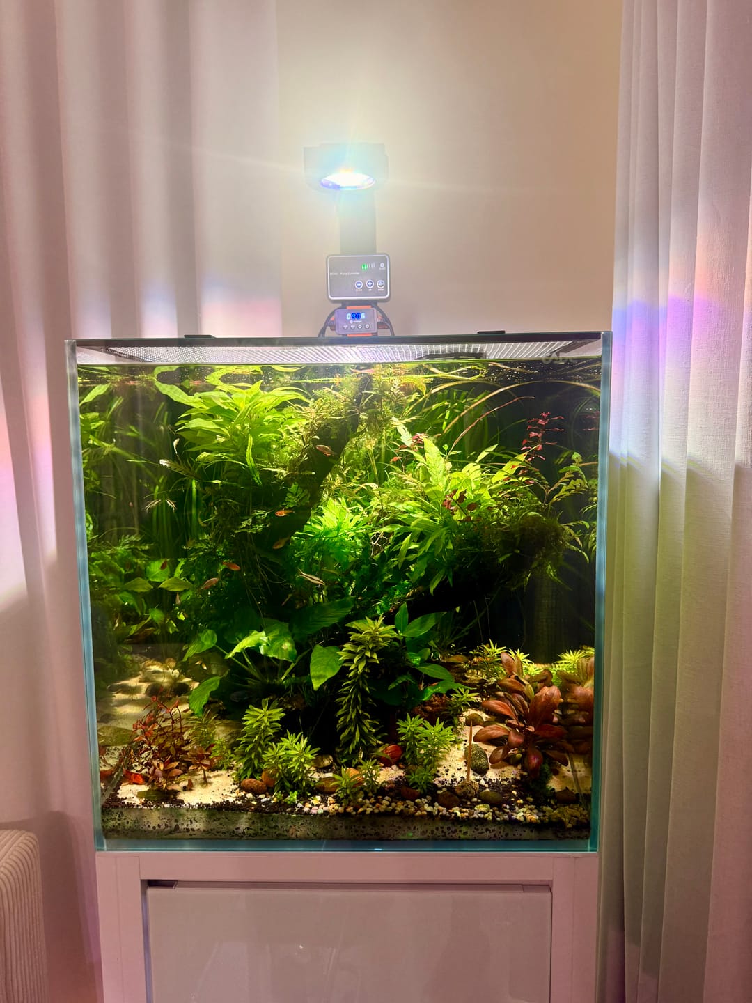 Customer photo review of Pixel LED Bundles All Sizes