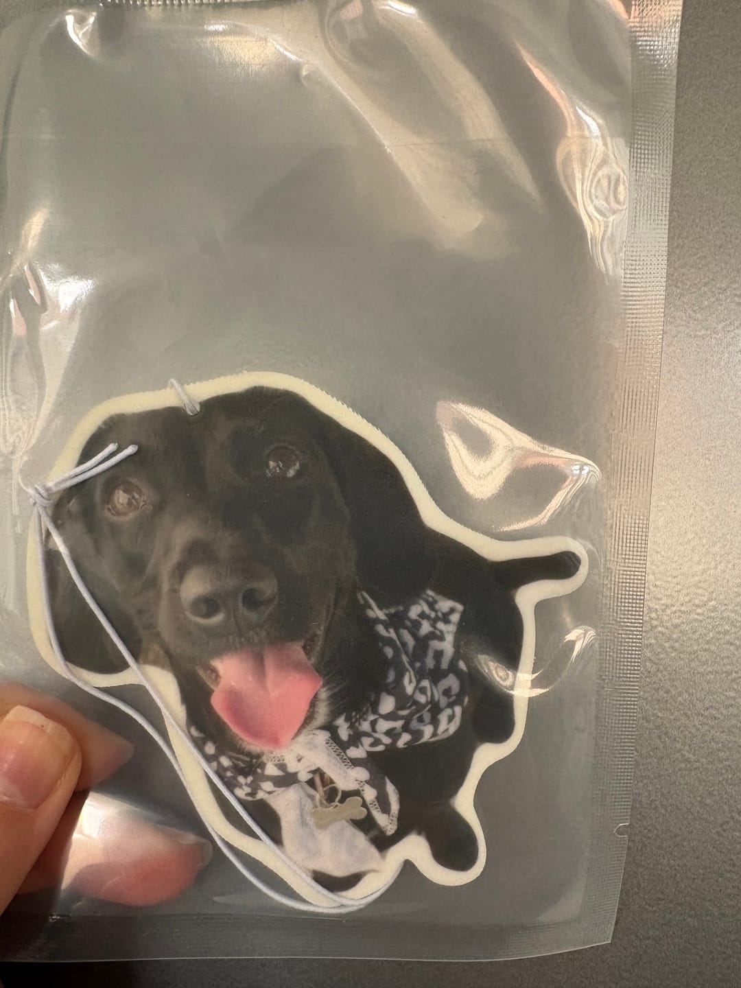 Customer photo review of Personalised Custom Car Air Freshener With Your Photo