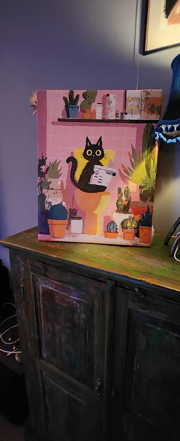 Customer photo review of De zwarte kat op het toilet