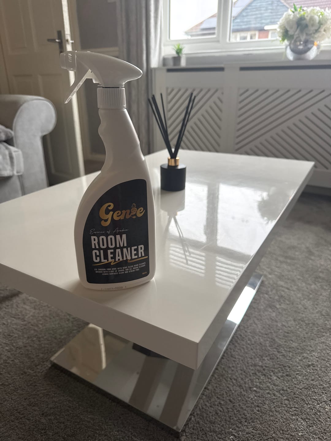 Customer photo review of Genie Room Cleaner