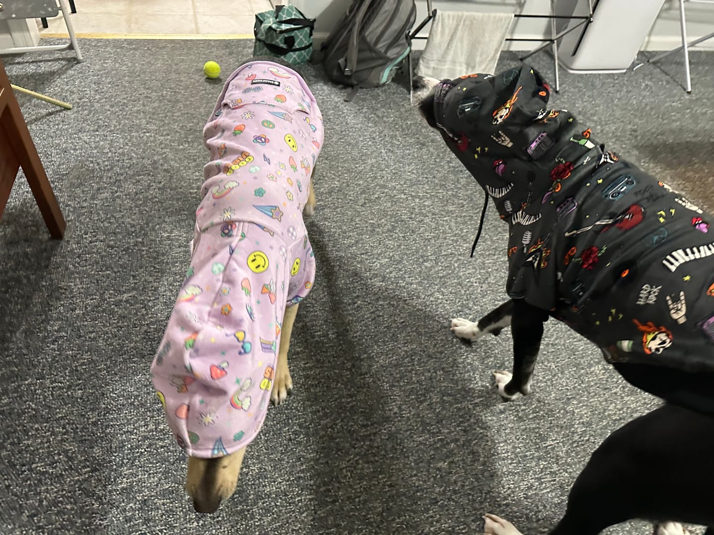 Customer photo review of Good Vibes Dog Hoodie - Purple