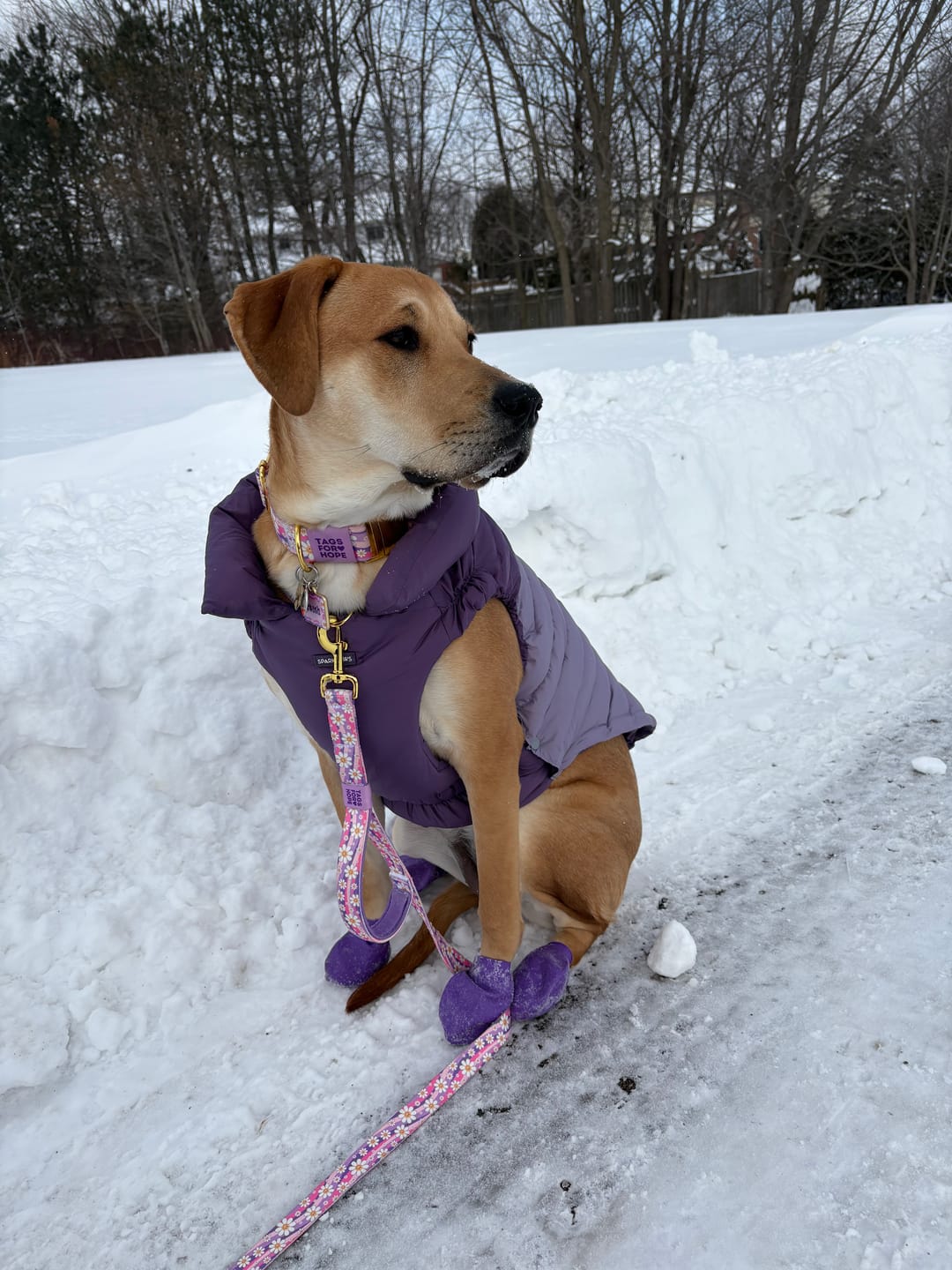 Customer photo review of PuffShield Winter Jackets