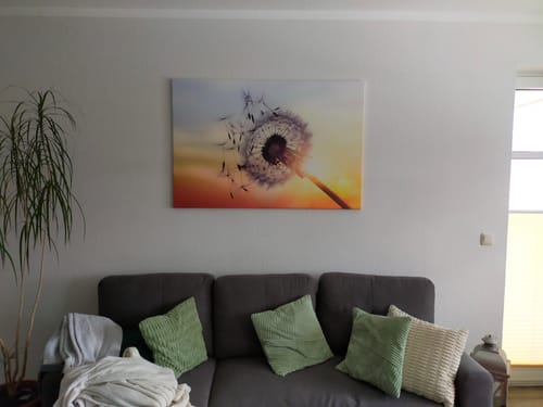 Customer photo review of Leinwandbild Pusteblume im Sommer Querformat
