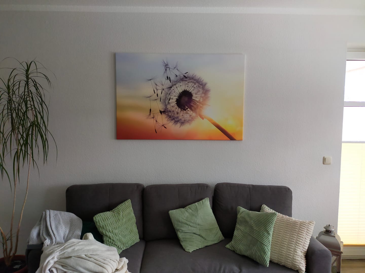 Customer photo review of Leinwandbild Pusteblume im Sommer Querformat