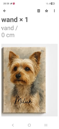 Customer photo review of Dein Haustier als Porträt - Individuelle Leinwand