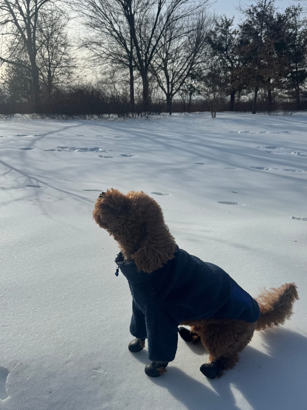 Customer photo review of Monkey Fleece Jacket