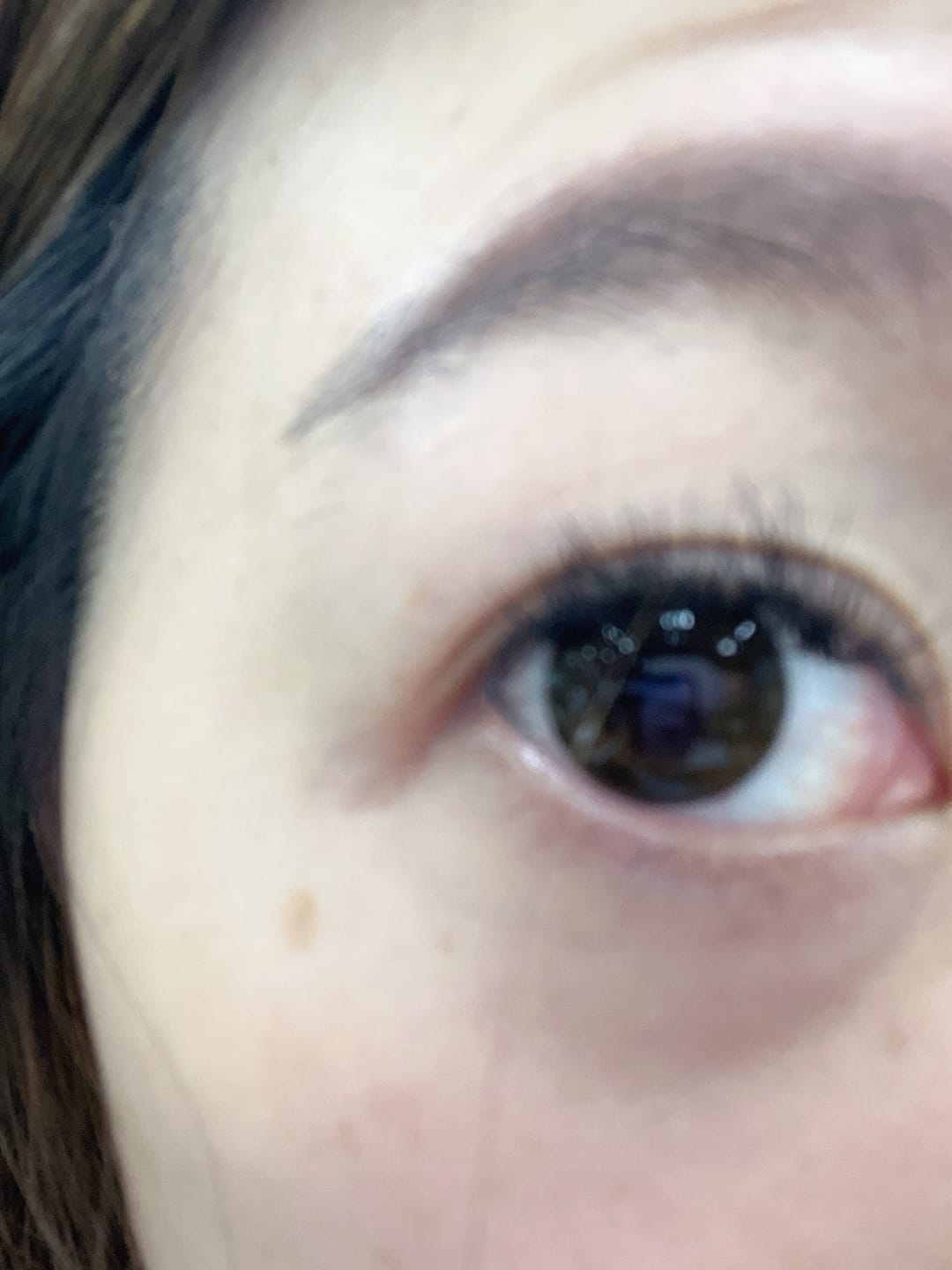 Customer photo review of NEO N254 Extra Dali Toric Brown 散光訂製 年拋隱形眼鏡（1片）