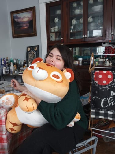 Customer photo review of PRE-ORDER - GIANT Weighted Multi-Tiger Plush