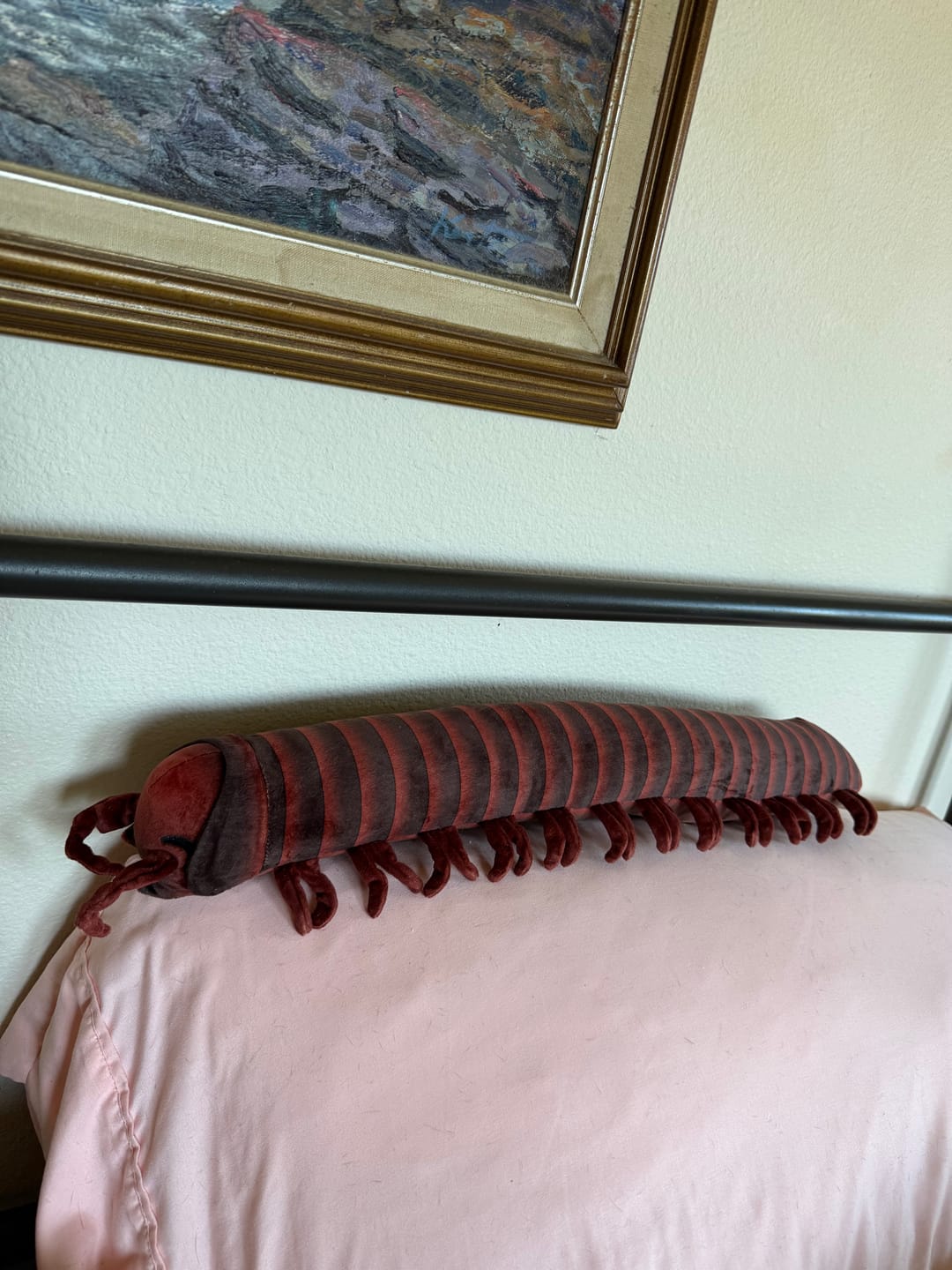 Customer photo review of Specimen 1 - Giant African Millipede Plush