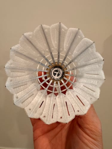 Customer photo review of Victor New CarbonSonic Pro Shuttlecock (NCS-PRO)