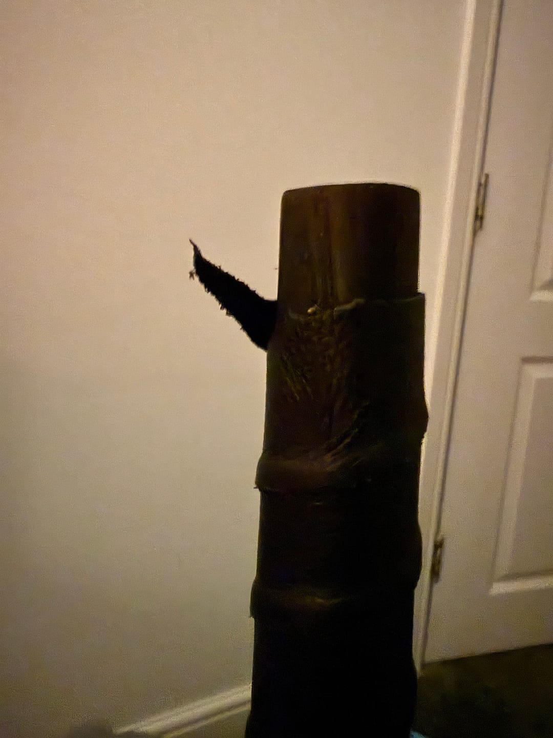 Customer photo review of The Black Ragnar