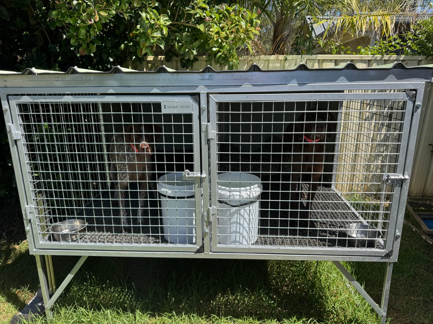 Customer photo review of Raised Safety Kennel