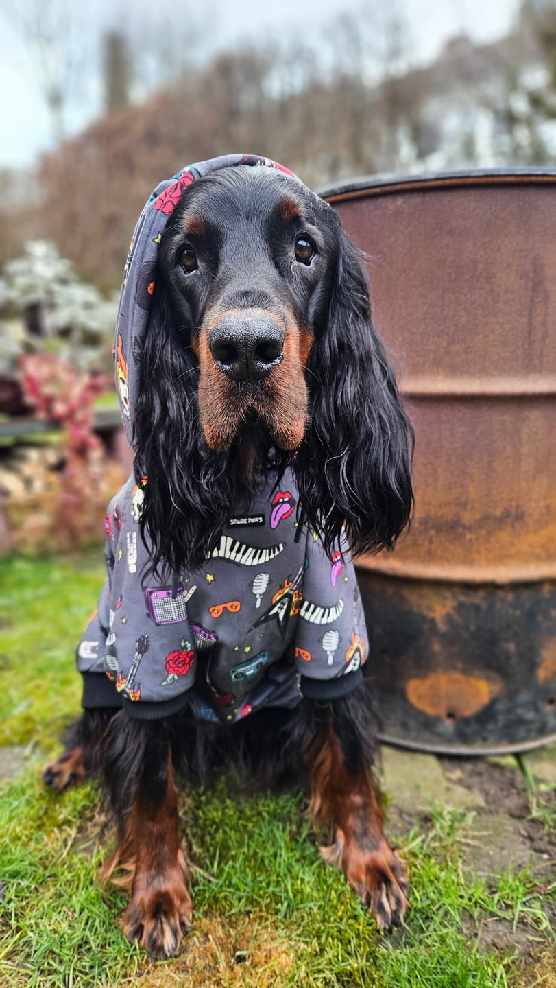 Customer photo review of Rock and Roll Dog Hoodie
