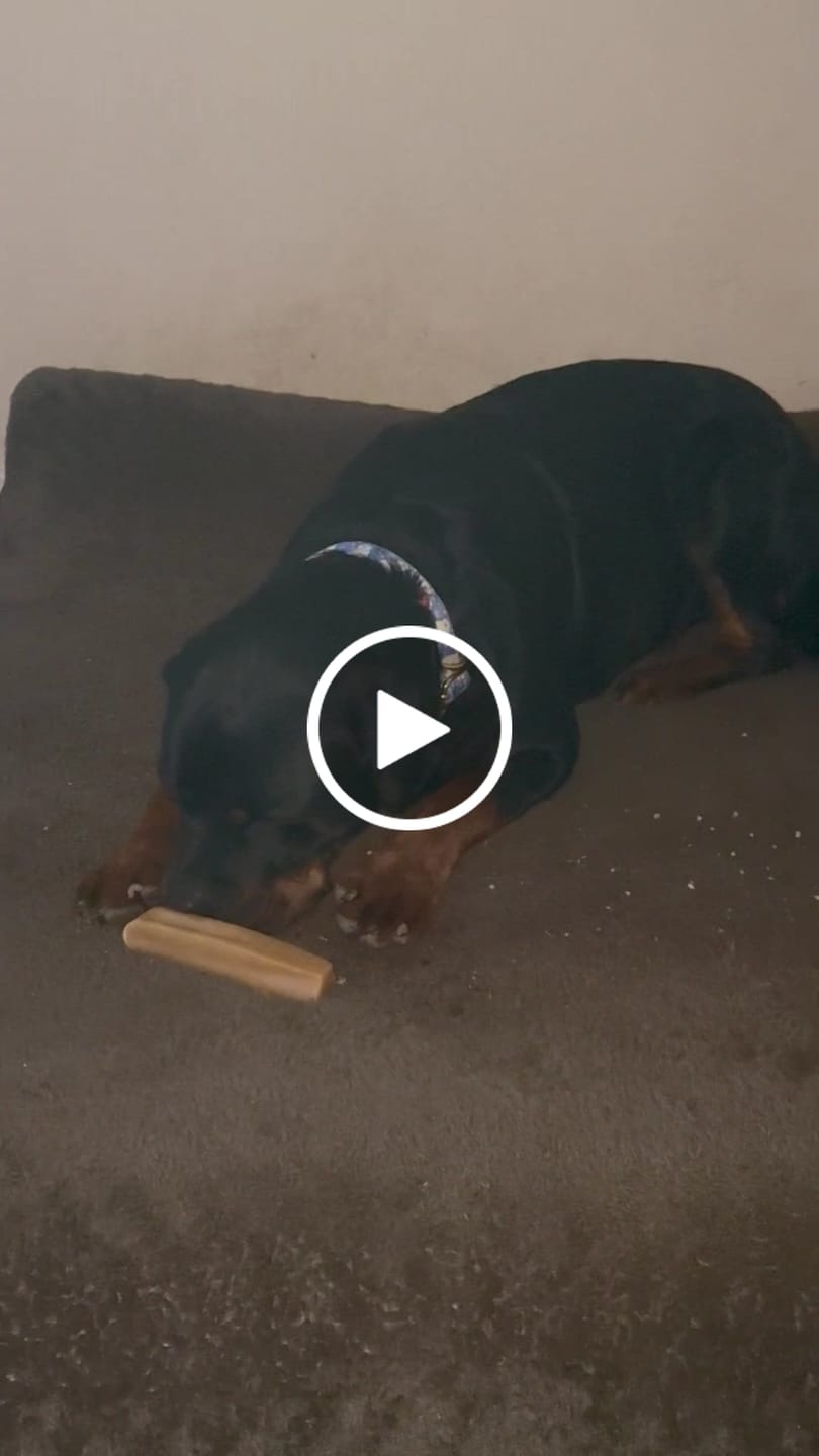 Customer video review of Himalayan Yak Chew (EXTRA LARGE)